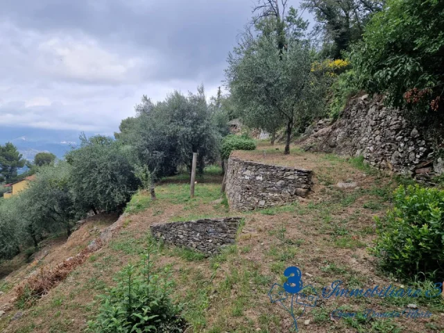 Appartamenti in Vendita - Casa indipendente con terreno nell'entroterra di alassio