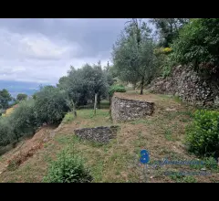 Appartamenti in Vendita - Casa indipendente con terreno nell'entroterra di alassio
