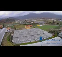 Albenga azienda agricola mq 7000 + casa mq 169 e accessori