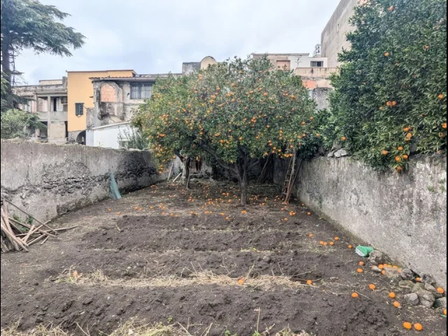 Appartamenti in Vendita - Semindipendente a piano terra con giardino a bosco