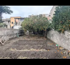 Appartamenti in Vendita - Semindipendente a piano terra con giardino a bosco