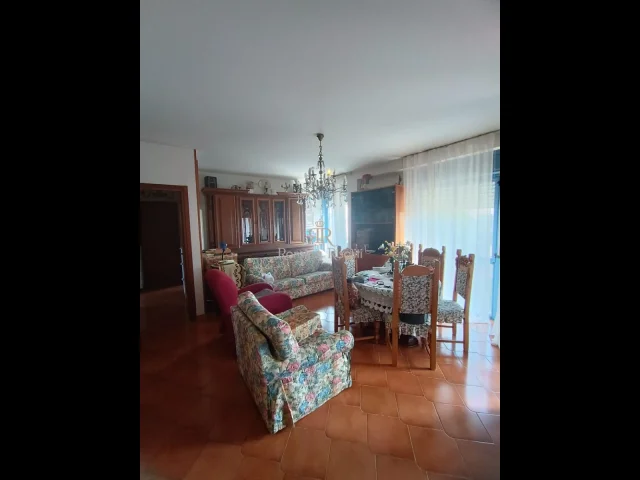 La leccia libero disponibilita' immediata