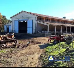 Azienda agricola - loc. canneto e varie limitrofe