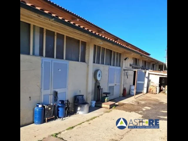 Appartamenti in Vendita - Azienda agricola - loc. canneto e varie limitrofe