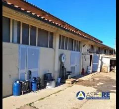 Appartamenti in Vendita - Azienda agricola - loc. canneto e varie limitrofe
