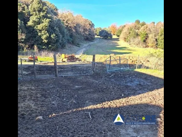 Appartamenti in Vendita - Azienda agricola - loc. canneto e varie limitrofe