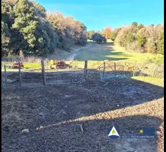 Appartamenti in Vendita - Azienda agricola - loc. canneto e varie limitrofe