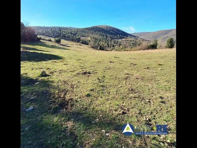 Appartamenti in Vendita - Azienda agricola - loc. canneto e varie limitrofe