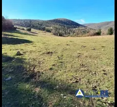 Appartamenti in Vendita - Azienda agricola - loc. canneto e varie limitrofe