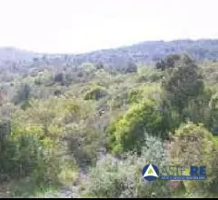 Azienda agricola - val di lopia, loc. santa margherita 2/b