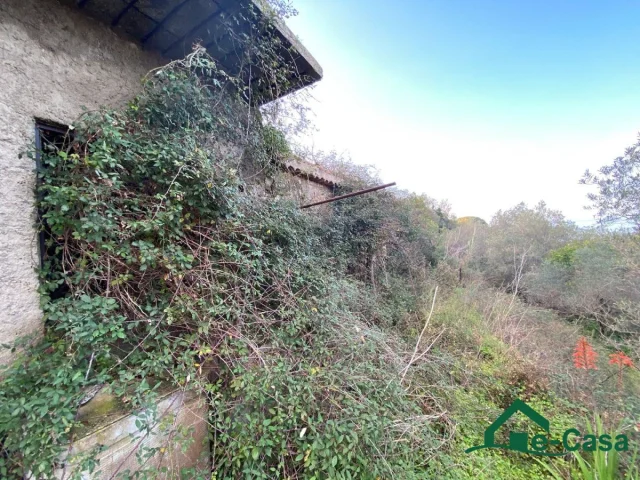 Appartamenti in Vendita - 📢 in vendita: terreno agricolo con annessa stanza  -  rodia (me) 📢