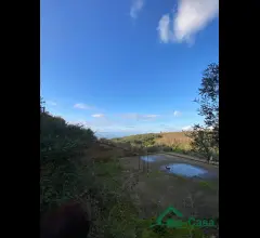 Appartamenti in Vendita - 📢 in vendita: terreno agricolo con annessa stanza  -  rodia (me) 📢