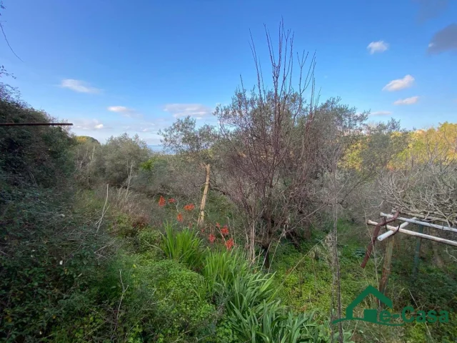 Appartamenti in Vendita - 📢 in vendita: terreno agricolo con annessa stanza  -  rodia (me) 📢