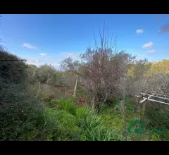 Appartamenti in Vendita - 📢 in vendita: terreno agricolo con annessa stanza  -  rodia (me) 📢