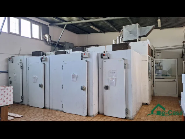 Appartamenti in Vendita - Vsa375 messina centro laboratorio artigianale / deposito