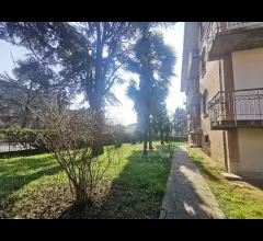 Appartamenti in Vendita - 2/3 camere - correggio