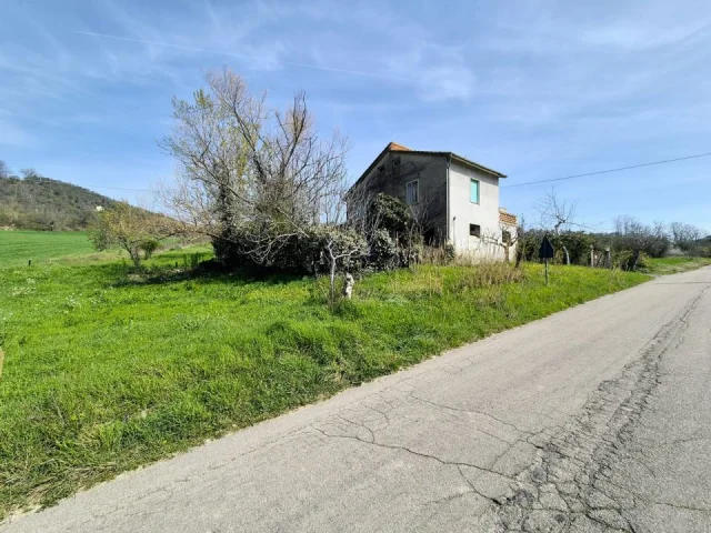 Appartamenti in Vendita - Honey house