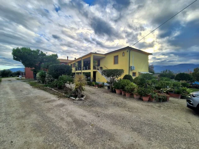 Appartamenti in Vendita - Podere angela