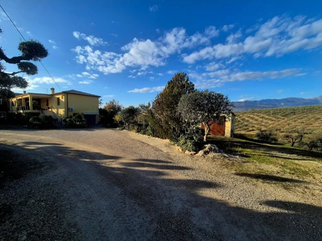 Appartamenti in Vendita - Podere angela