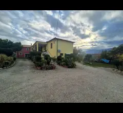Appartamenti in Vendita - Podere angela