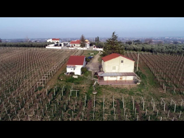 Appartamenti in Vendita - Wine house