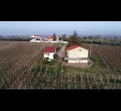 Wine house