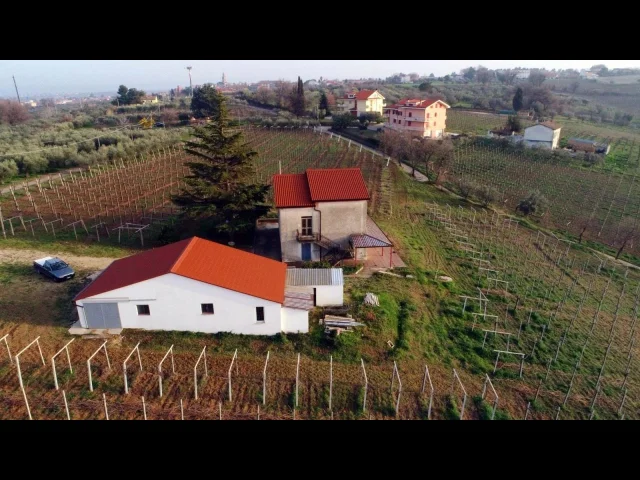 Appartamenti in Vendita - Wine house