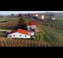Appartamenti in Vendita - Wine house