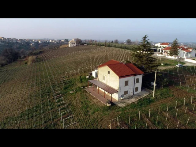 Appartamenti in Vendita - Wine house