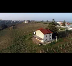 Appartamenti in Vendita - Wine house