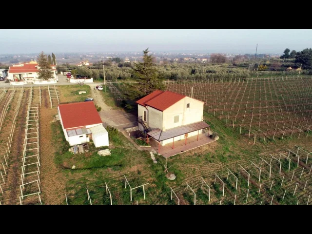 Appartamenti in Vendita - Wine house