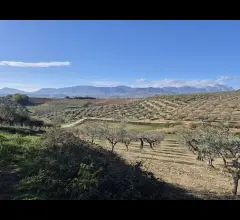 Terreno agricolo