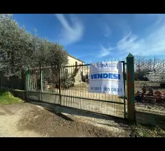 Appartamenti in Vendita - Casolare più terreno in vendita a mosciano sant'angelo