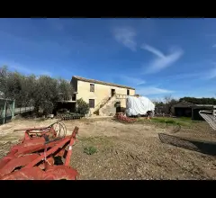 Appartamenti in Vendita - Casolare più terreno in vendita a mosciano sant'angelo