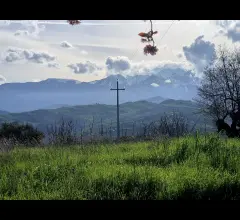 Appartamenti in Vendita - Casa panorama