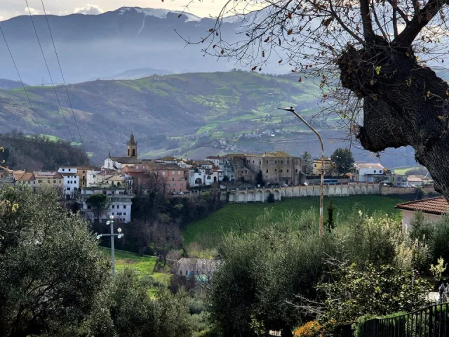 Appartamenti in Vendita - Casa panorama