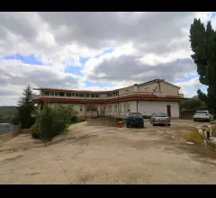 Appartamenti in Vendita - Casa indipendente con vigna, uliveto, b&b e molto altro