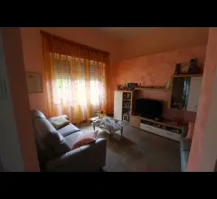 Appartamenti in Vendita - Casa indipendente con vigna, uliveto, b&b e molto altro