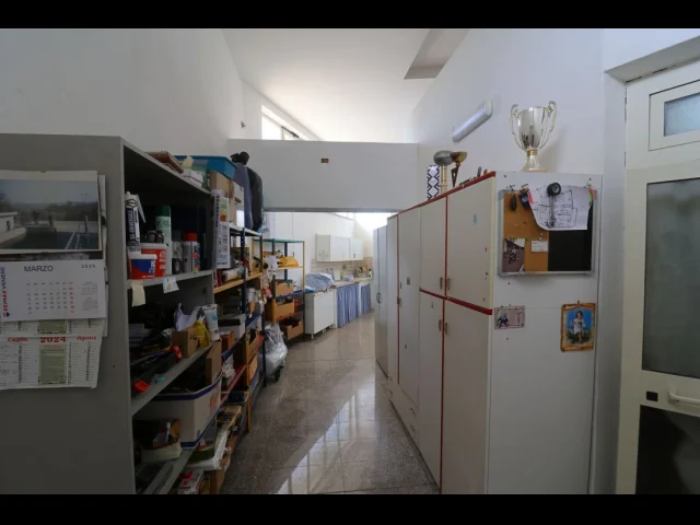 Appartamenti in Vendita - Casa indipendente con vigna, uliveto, b&b e molto altro