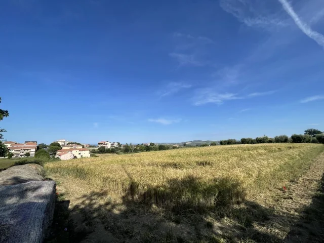 Terreni agricoli ed edificabili in vendita a mosciano s. a.