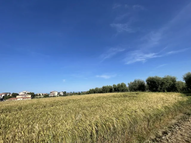 Appartamenti in Vendita - Terreni agricoli ed edificabili in vendita a mosciano s. a.
