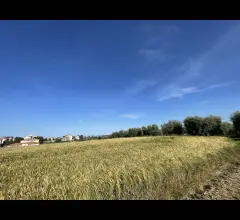 Appartamenti in Vendita - Terreni agricoli ed edificabili in vendita a mosciano s. a.
