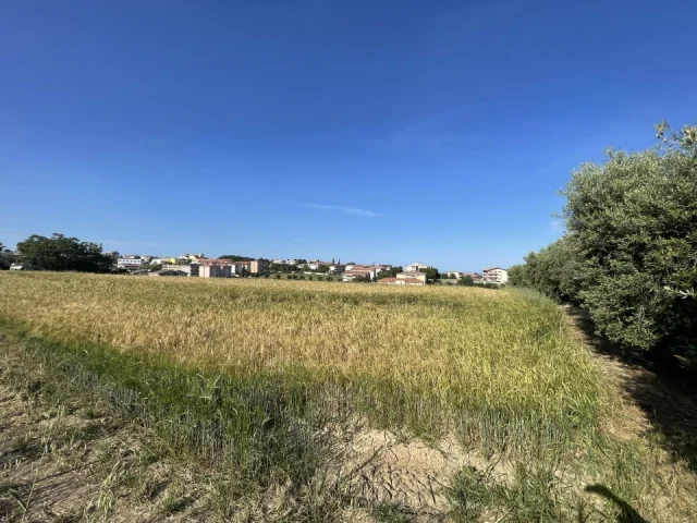 Appartamenti in Vendita - Terreni agricoli ed edificabili in vendita a mosciano s. a.