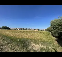 Appartamenti in Vendita - Terreni agricoli ed edificabili in vendita a mosciano s. a.
