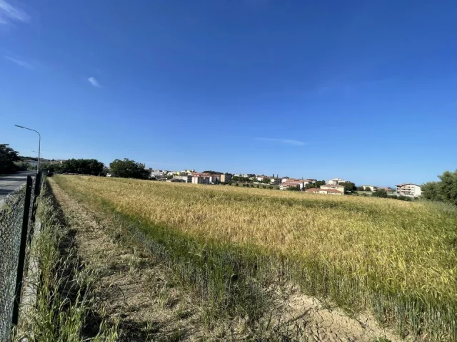 Appartamenti in Vendita - Terreni agricoli ed edificabili in vendita a mosciano s. a.