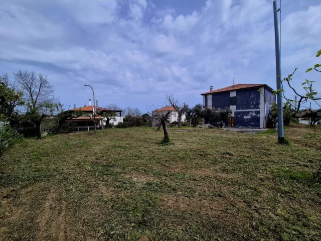 Appartamenti in Vendita - Casa sydney