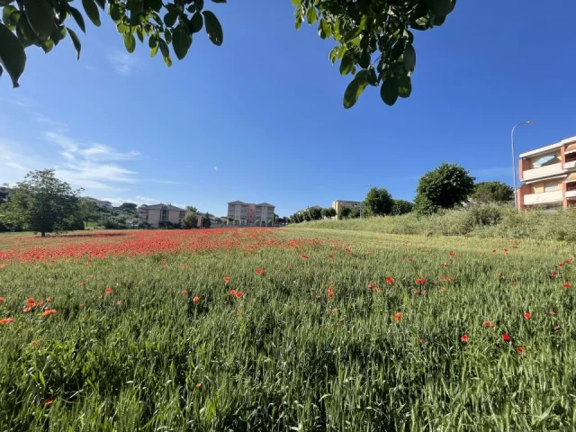 Terreni edificabili e agricoli in vendita