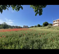 Terreni edificabili e agricoli in vendita