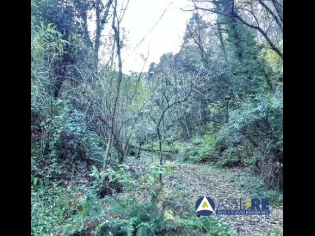 Appartamenti in Vendita - Terreno agricolo - via di lucca, via castellaccio