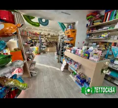 Appartamenti in Vendita - Attivita' per feste cartoleria caramelleria